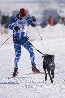 Lenk 2013